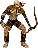 Black Robber Archer